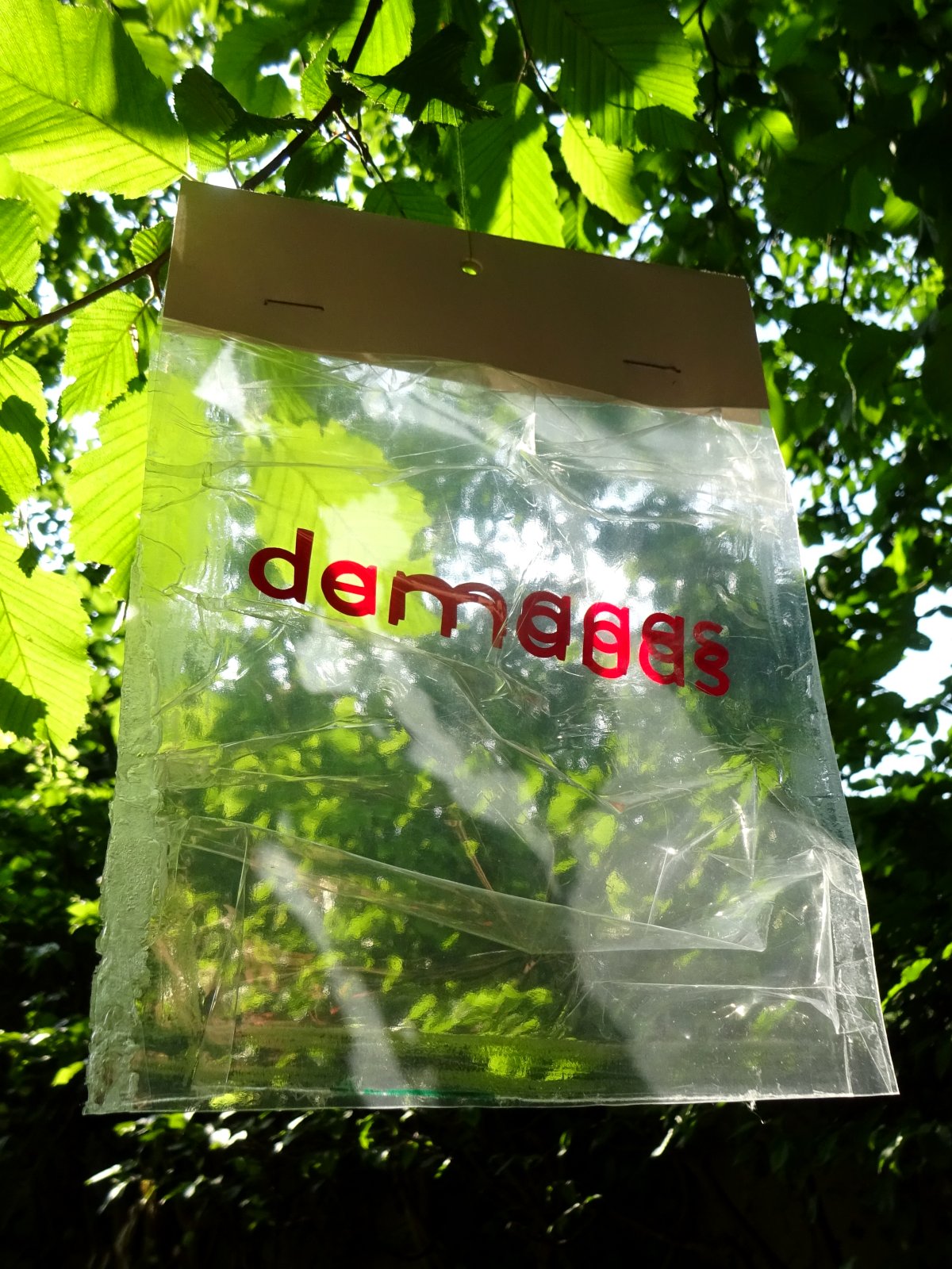 Collage. Red letters inside transparent plastic wrapping. Two words are placed on top of each other: demands, damages. The packaging is crumpled. The collage is hanging in front of tree branches.